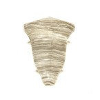 Narożnik wewnętrzny do listwy PCV 52mm DĄB BIAŁY