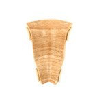 Narożnik wewnętrzny do listwy PCV 62mm BUK